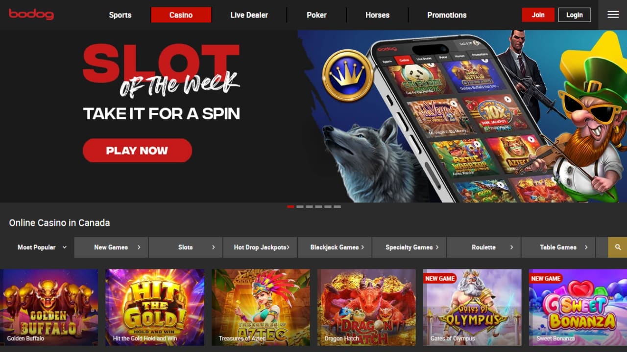 Bodog online casino games